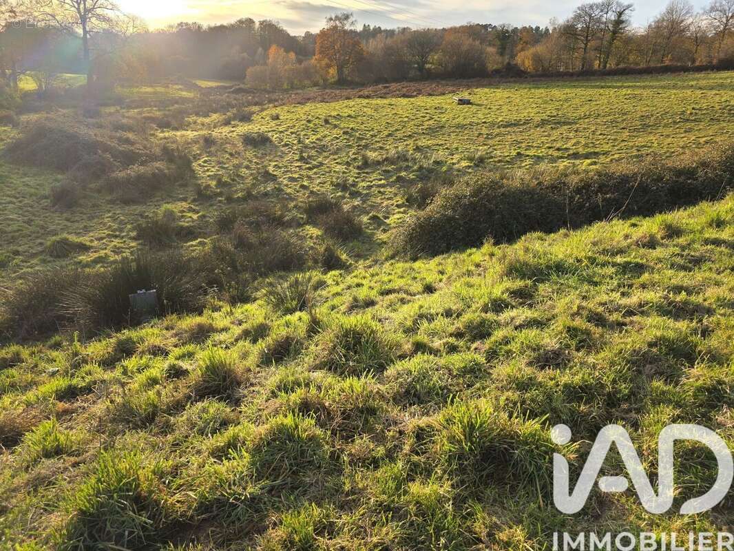 Photo 9 - Terrain à LE BUIS