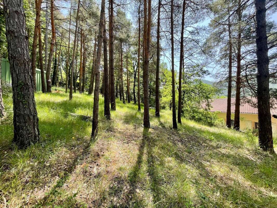 Photo 4 - Maison à NANT