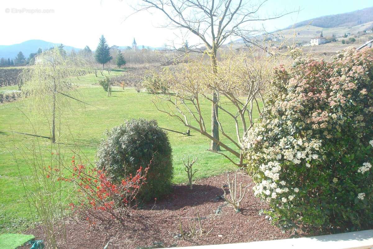 Un rêve à 30 minutes de la Gare Mâcon-Loché - Maison à CORCELLES-EN-BEAUJOLAIS