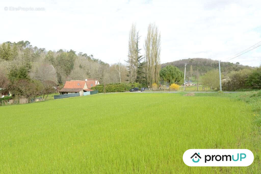 Terrain à CAMPSEGRET