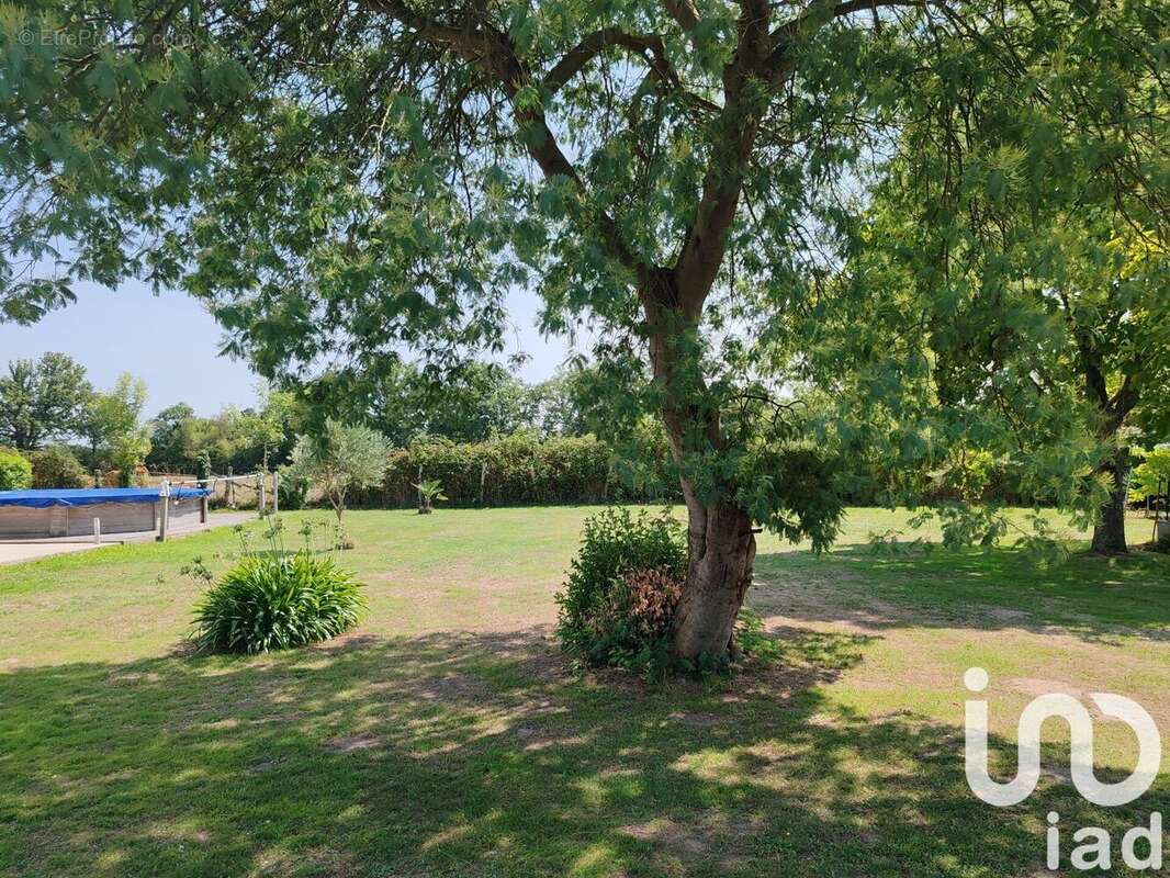 Photo 6 - Maison à LA CHAPELLE-LAUNAY