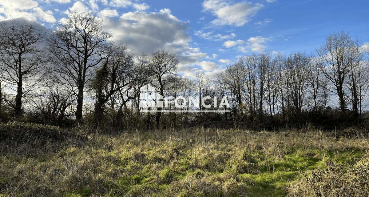 Terrain de loisir non constructible - photo 3