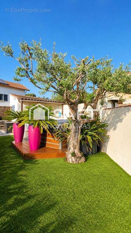 Photo 5 - Maison à LA SEYNE-SUR-MER