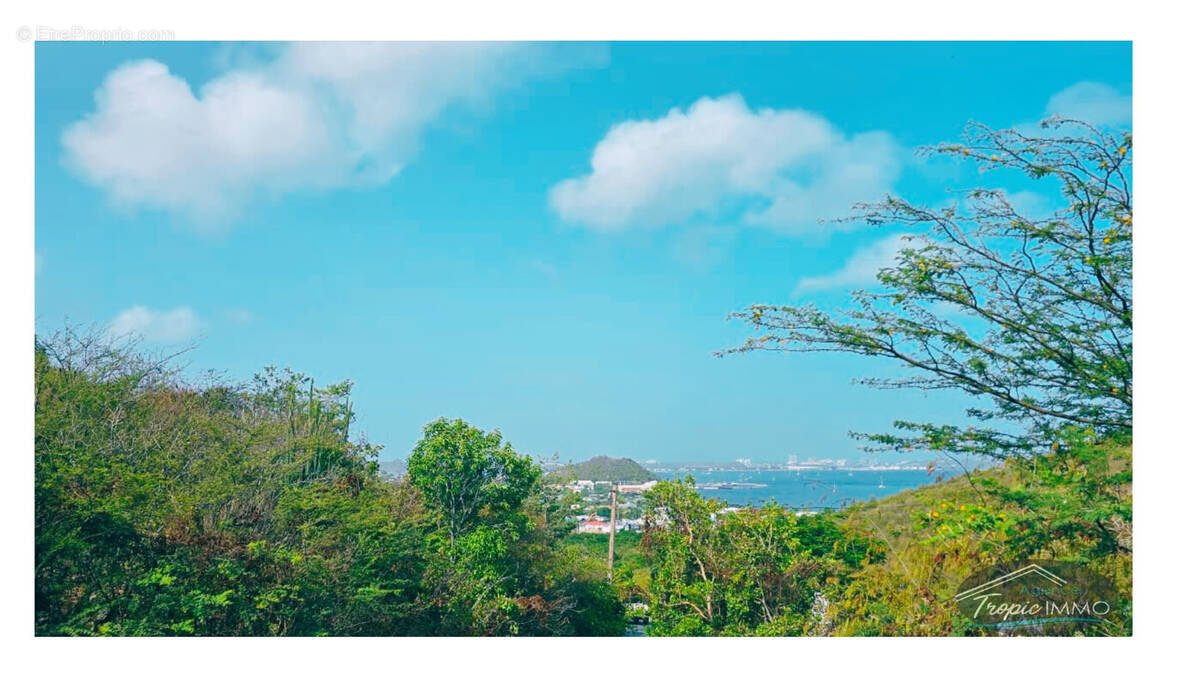 Terrain à SAINT-MARTIN