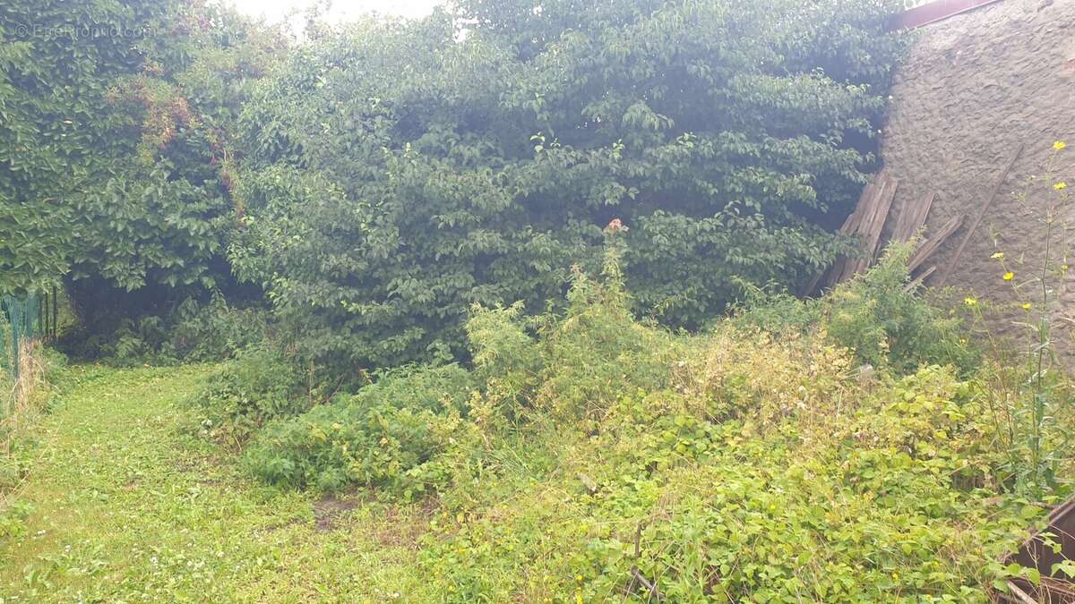 Maison à NOYELLES-GODAULT