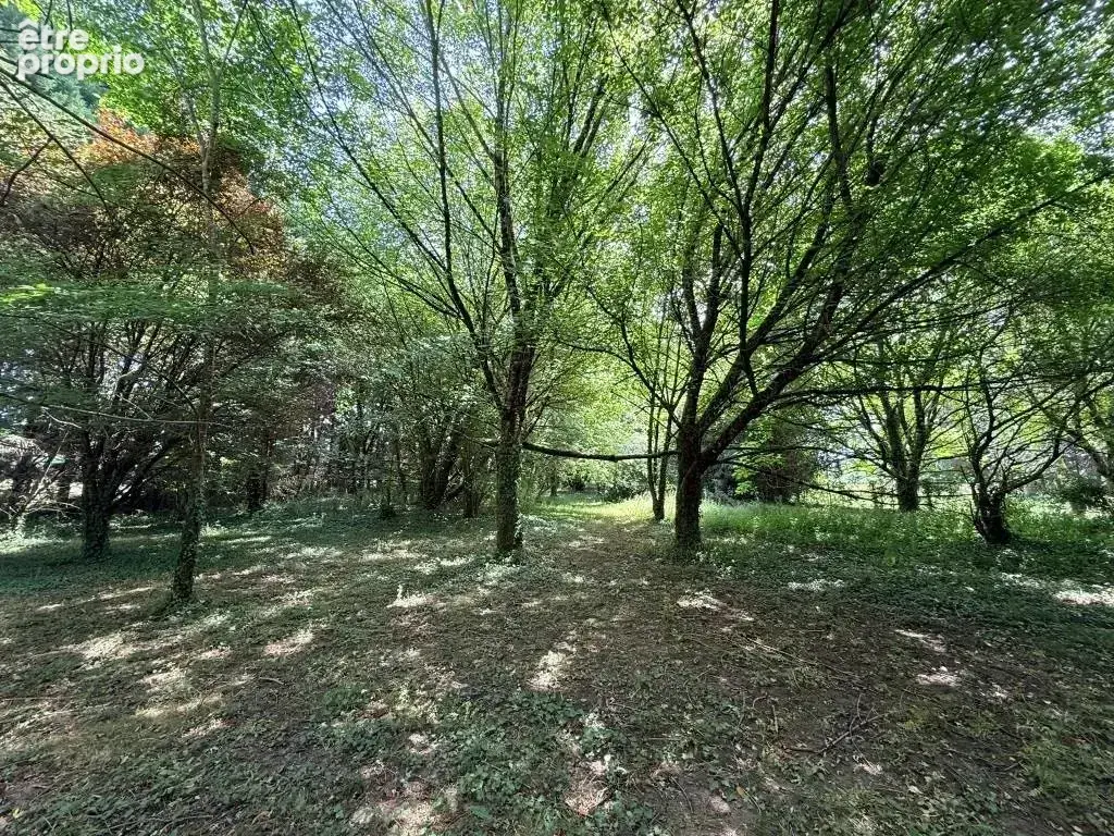 St christoly maison pierre sur 5700 m2 - photo 3