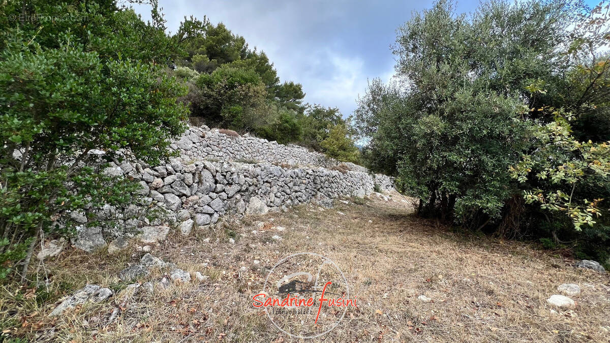 Terrain à CARROS