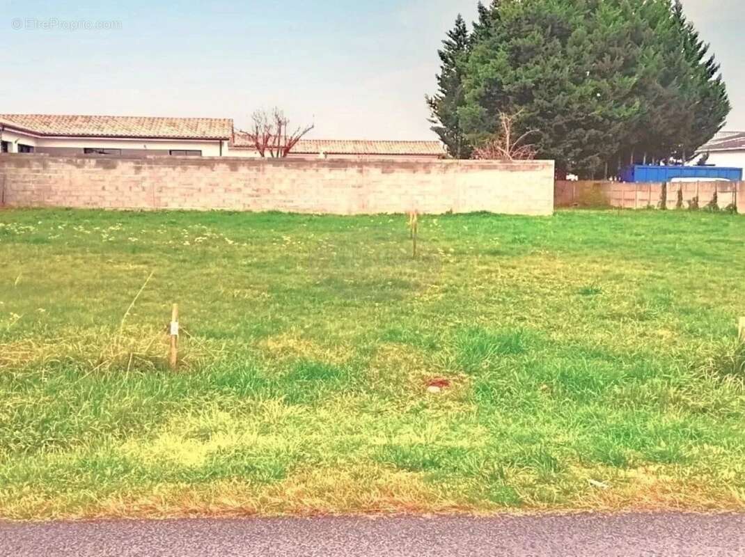 Terrain à SAINT-ANDRE-DE-CUBZAC