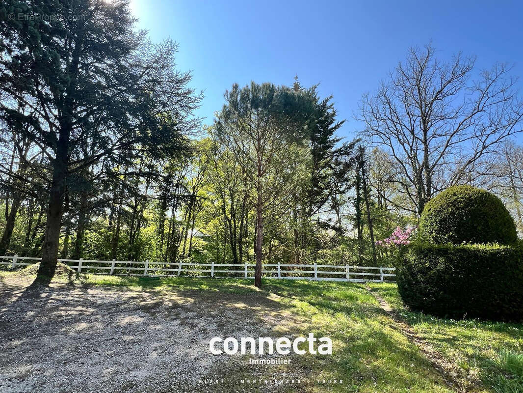 Maison à MONTRICHARD