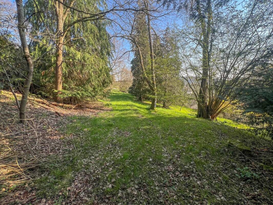 Terrain à SAINT-REMY-LES-CHEVREUSE