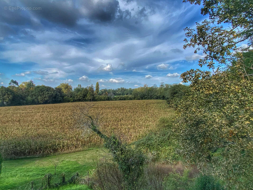 Maison à SAINT-PALAIS