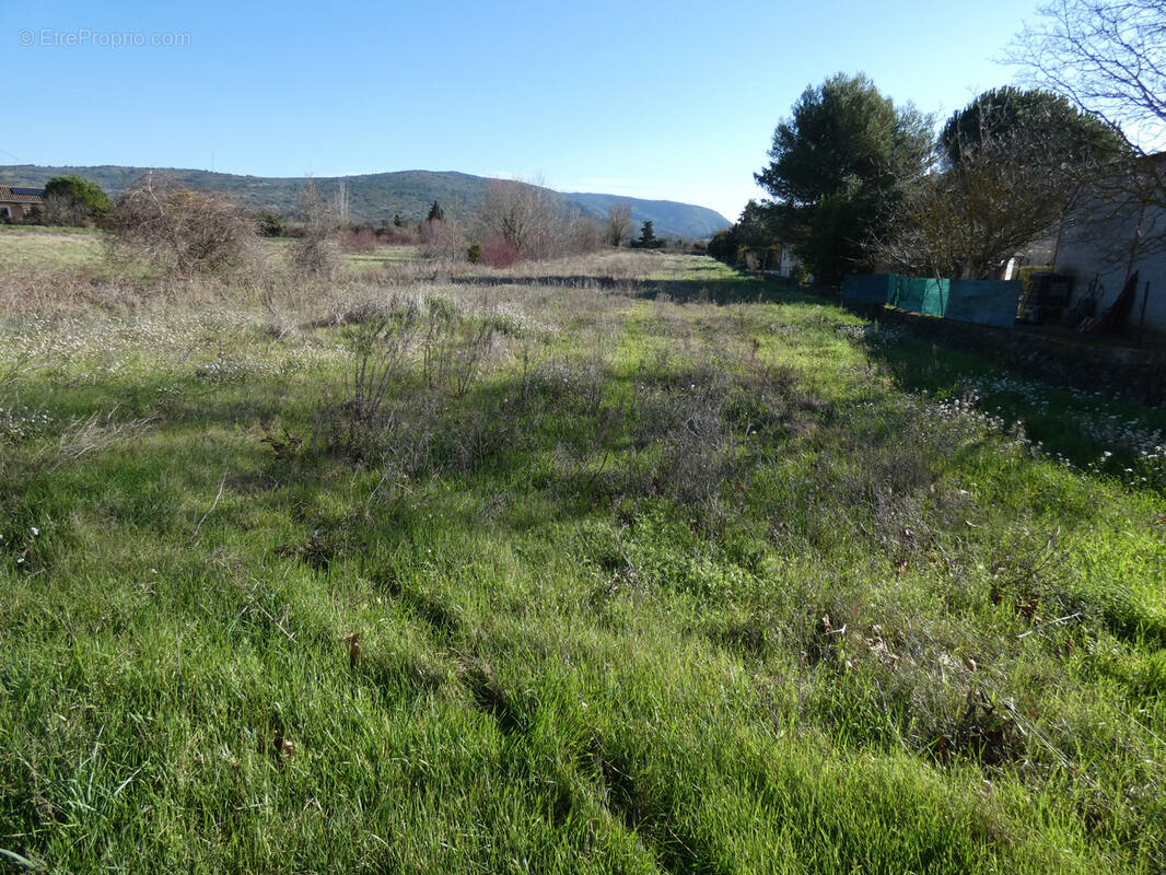 Terrain à MONTLAUR