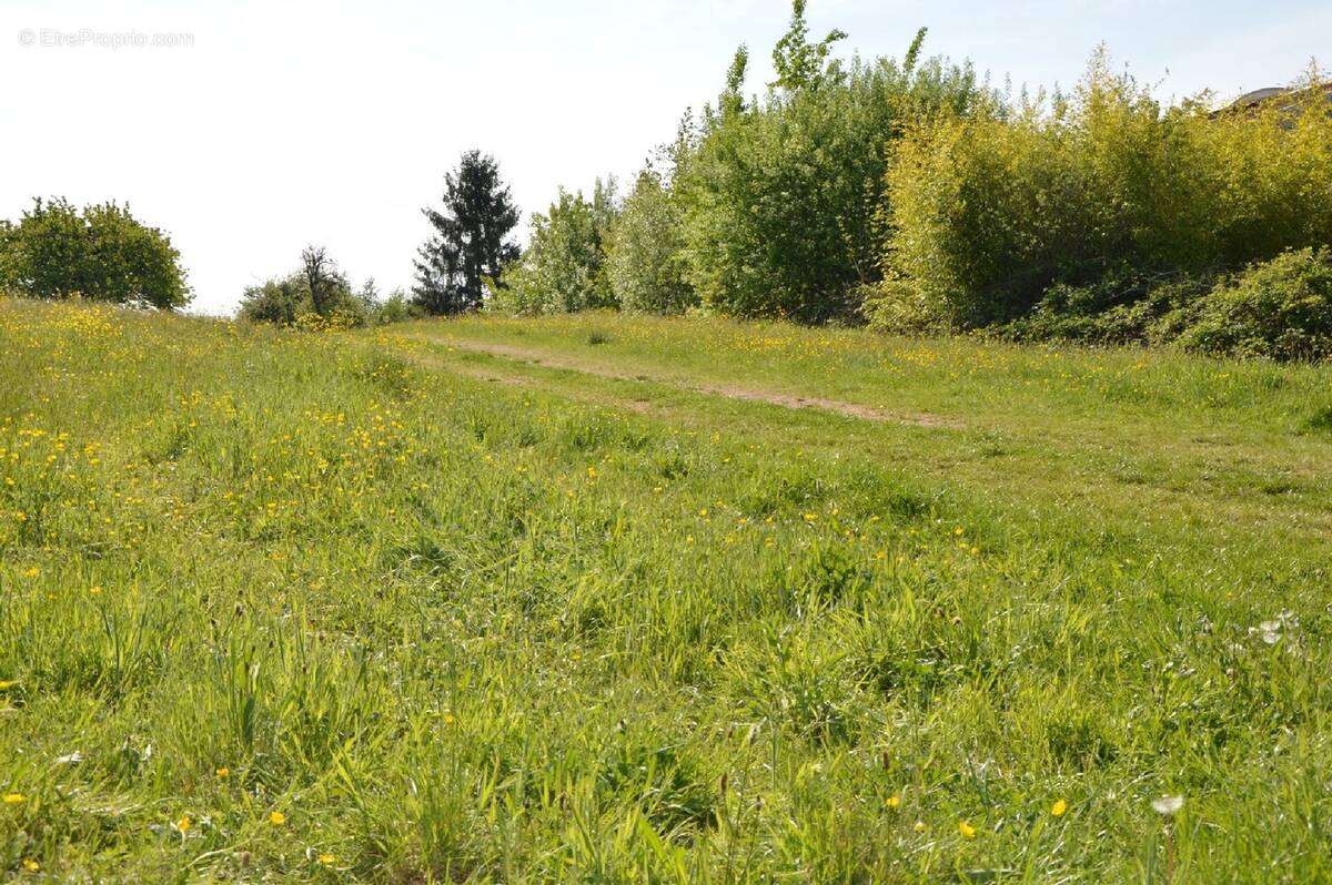 Terrain à LEMBERG