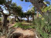 Appartement à SAINT-CYR-SUR-MER