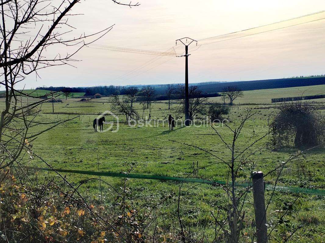 Terrain à NOVION-PORCIEN