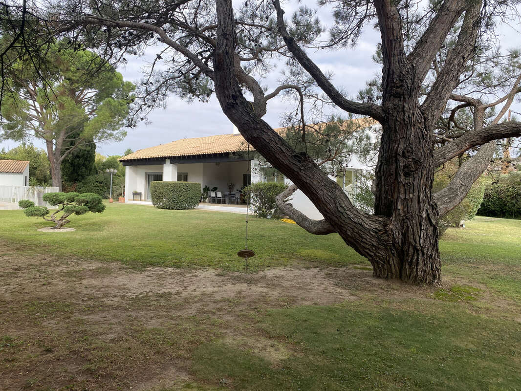 Maison à AVIGNON