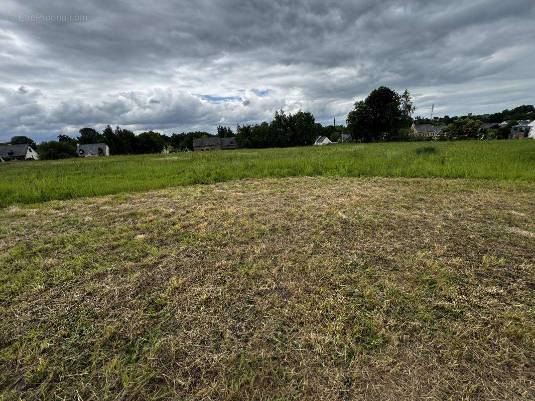 Terrain à DOL-DE-BRETAGNE