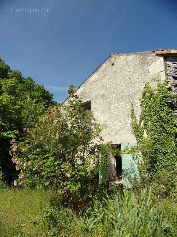 Maison à PAIZAY-LE-CHAPT