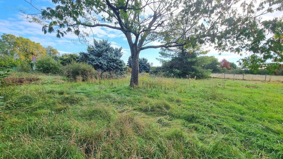 Maison à LA VILLE-DIEU-DU-TEMPLE