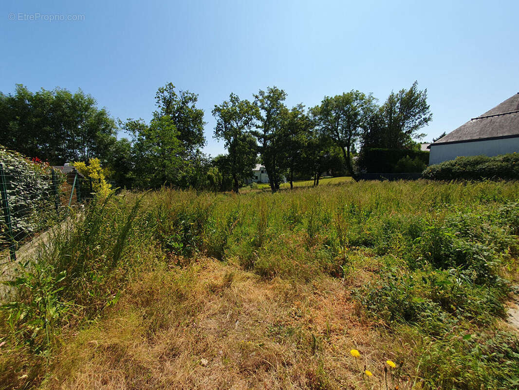 Terrain à AURAY