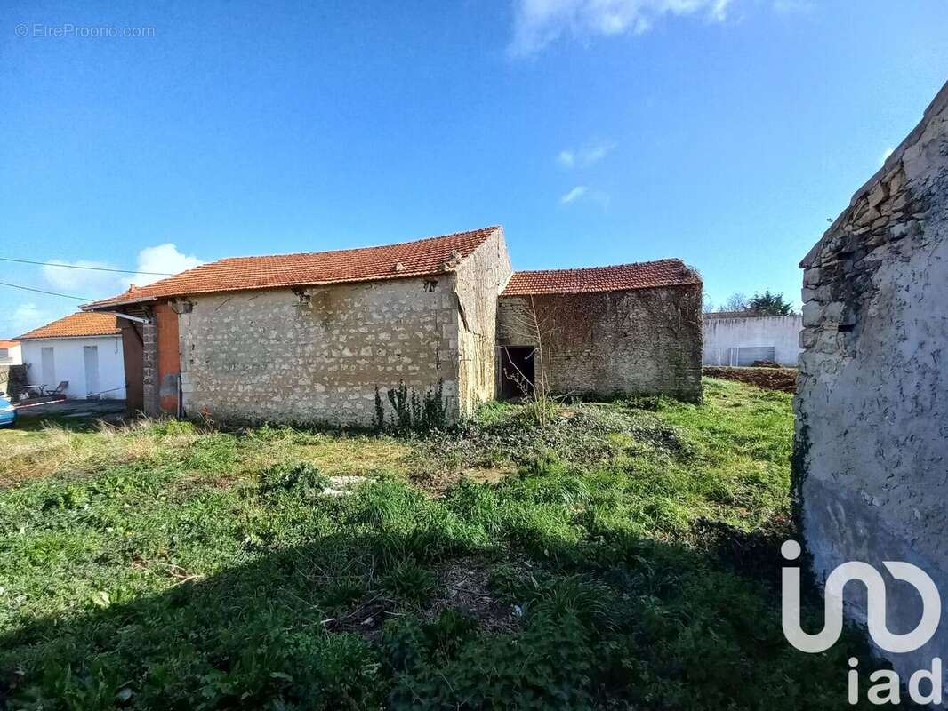 Photo 4 - Maison à SAINT-GEORGES-D'OLERON