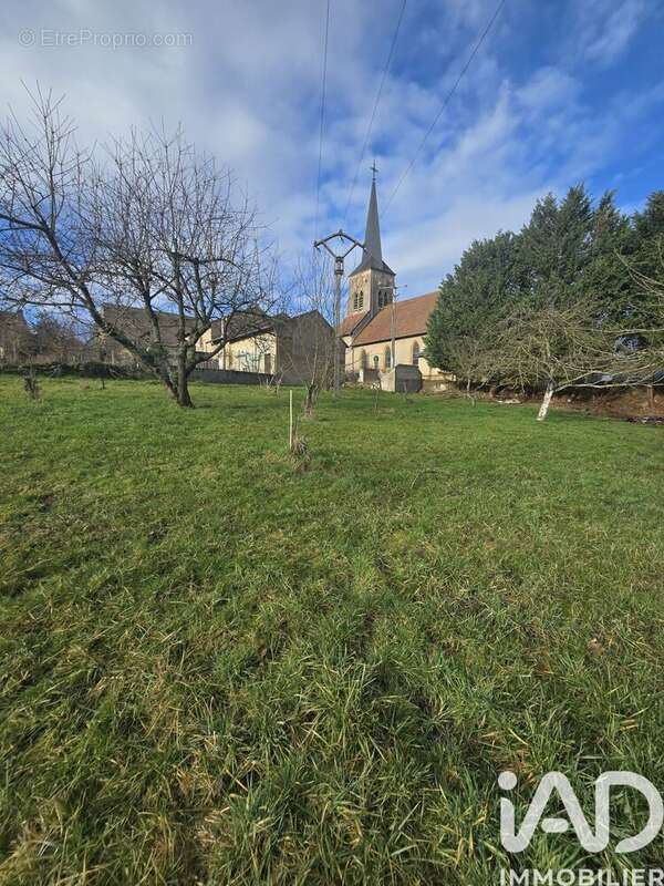 Photo 3 - Terrain à MORVILLE-SUR-SEILLE