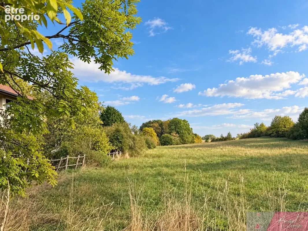 Terrain à ORCHAMPS