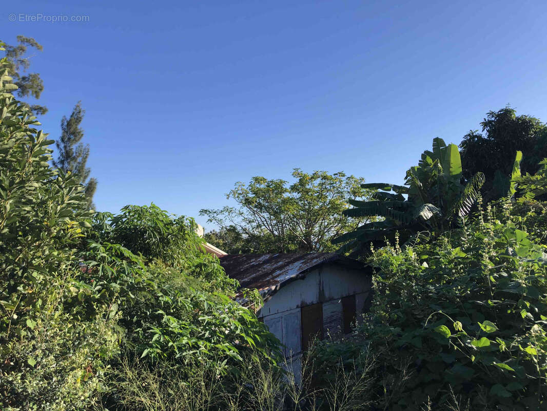 Terrain à SAINT-DENIS