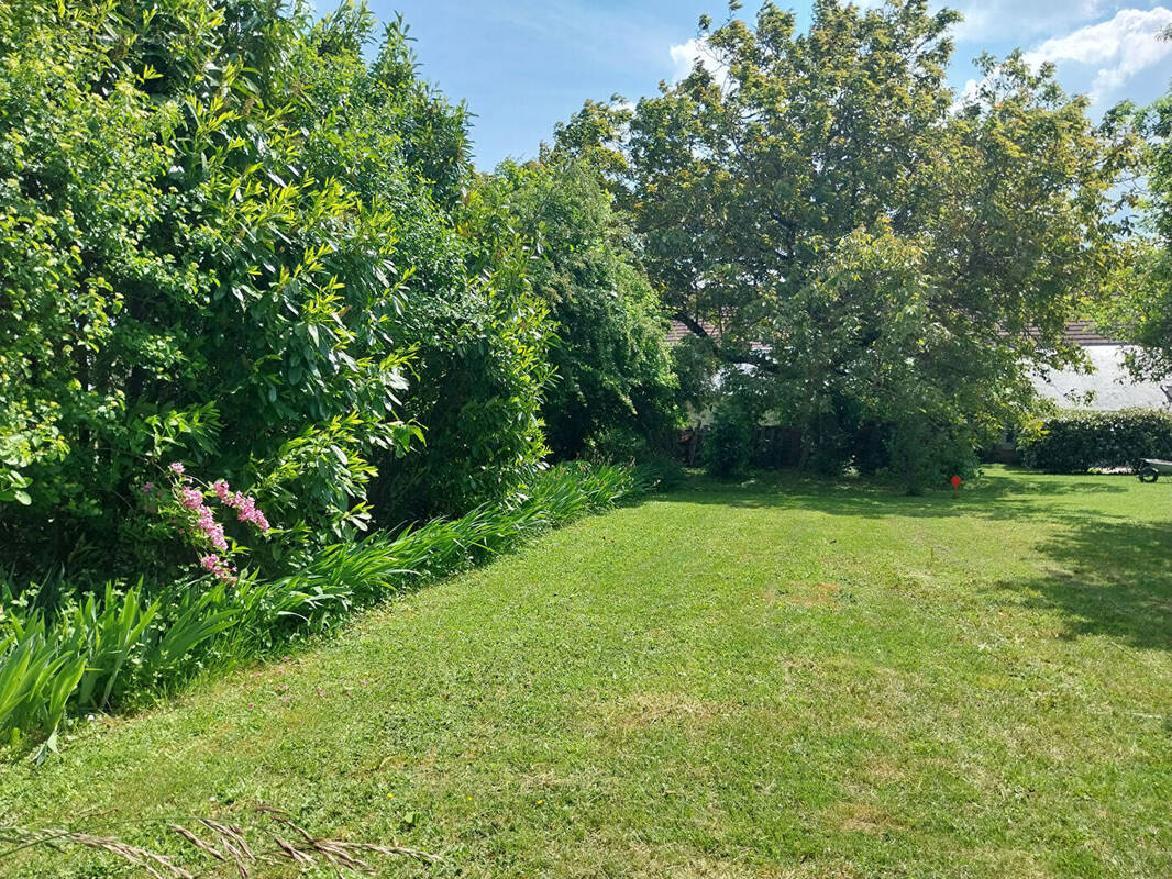 Terrain à CIGOGNE