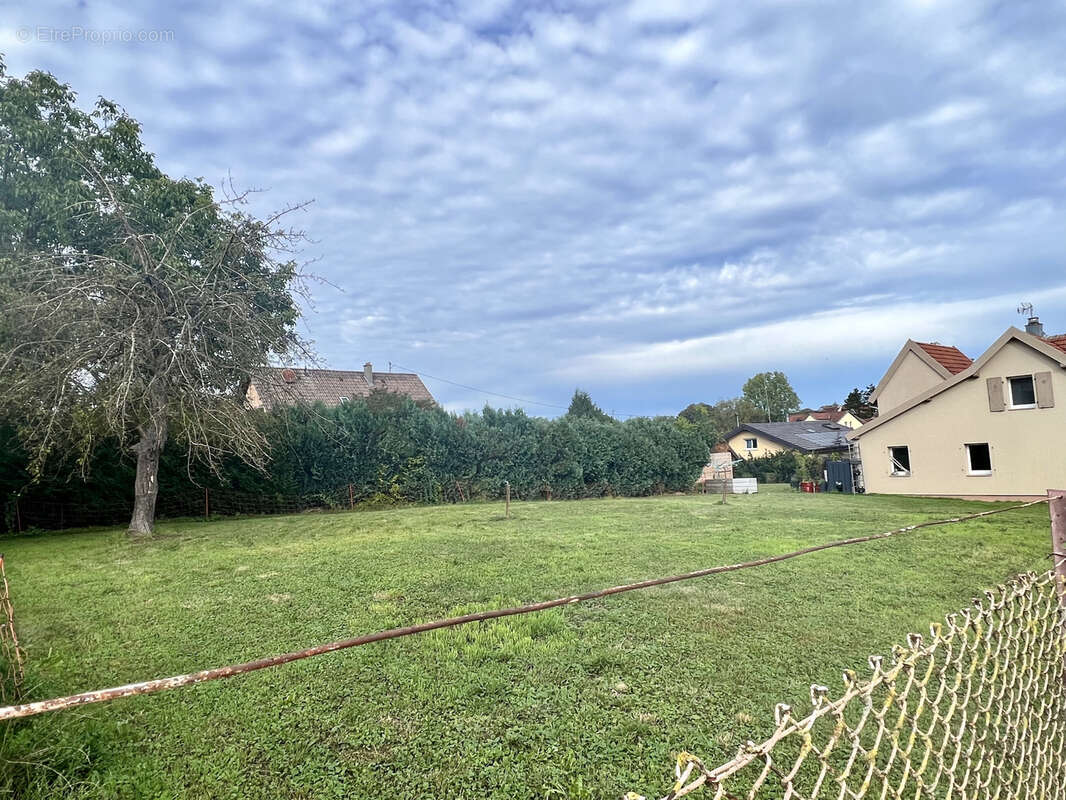 Terrain à HIRTZBACH