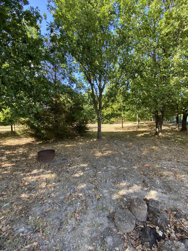 Terrain à NEGREPELISSE