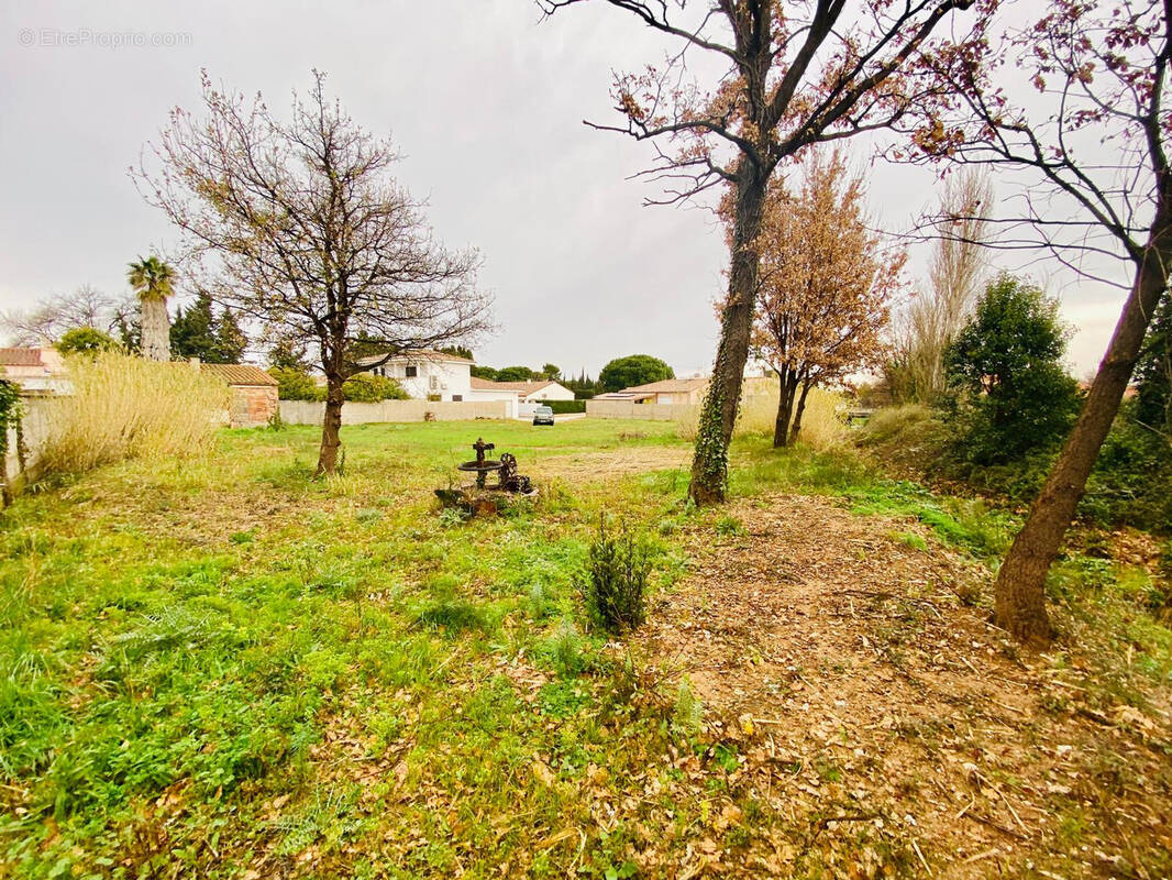 Terrain à THUIR