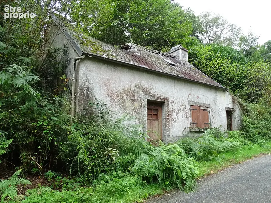 FINISTÈRE. Maison bretonne à rénover avec 8 367 m² de terrain - photo 1