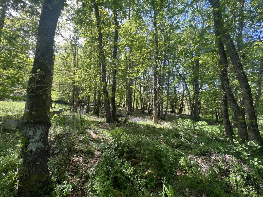 Etang avec terrain viabilise - photo 8