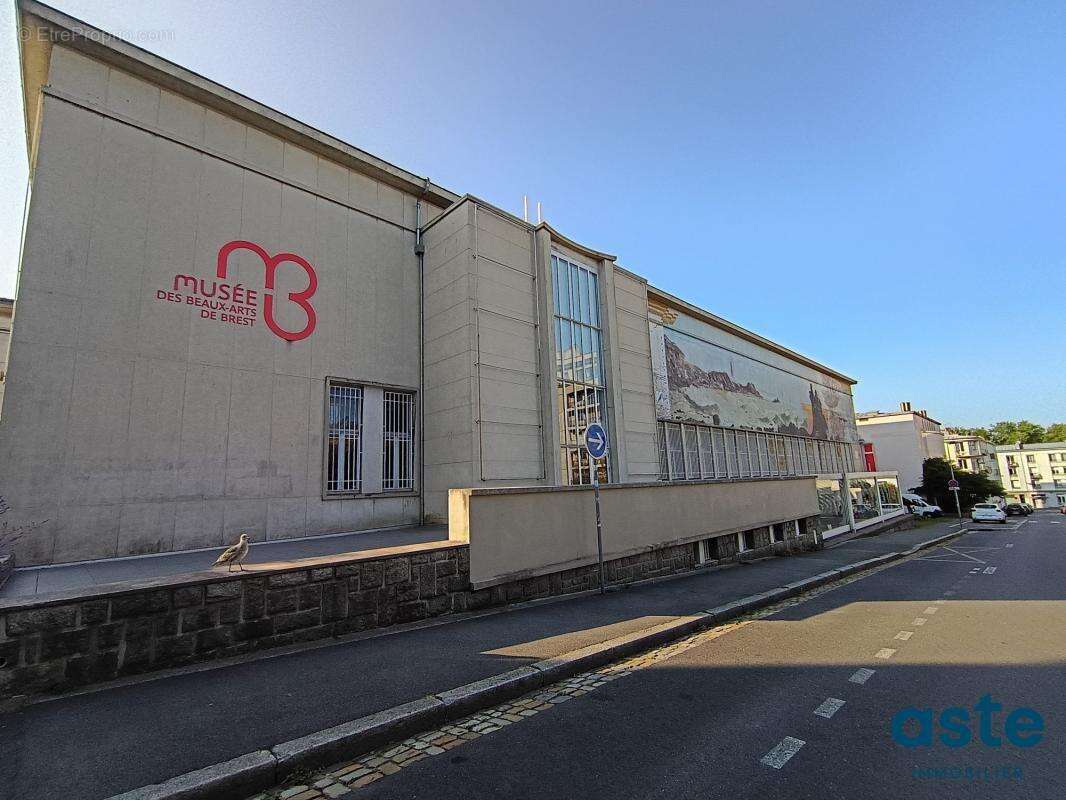 Brest - Triangle d'Or / Place Wilson - photo 7