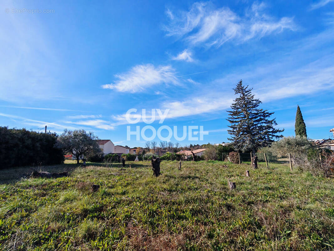 Terrain à CARPENTRAS