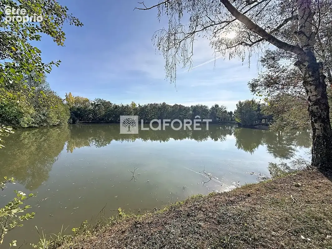 ÉTANG - GRAVIÈRE Viriat 20000m2 - photo 6