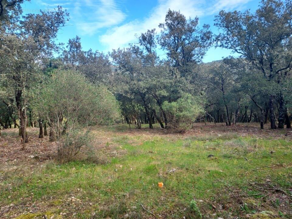 Terrain à SAINTE-ANASTASIE-SUR-ISSOLE