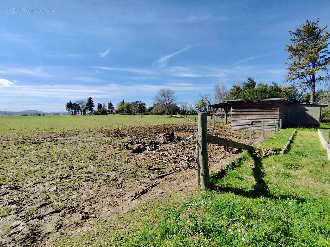 Maison à BONLIEU-SUR-ROUBION