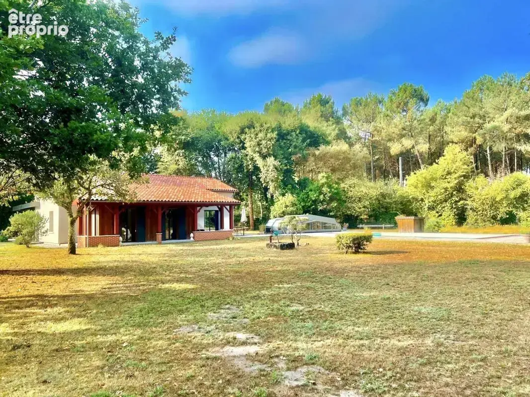 Sanguinet - maison 210 m² sur 1,3 ha - piscine • dépendance - photo 8
