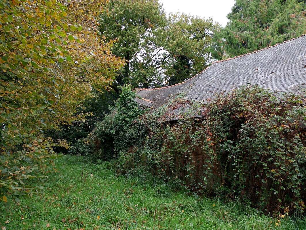 Maison en pierre - photo 13