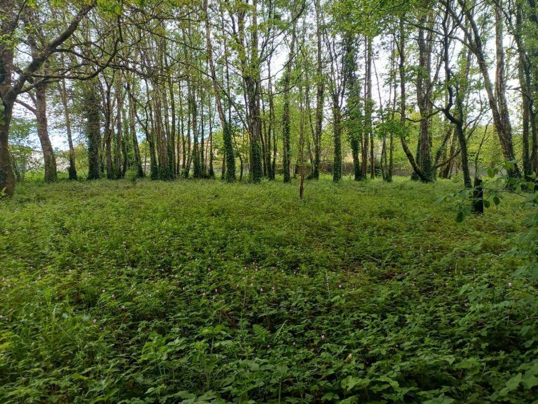 Terrain à LE FAOUET