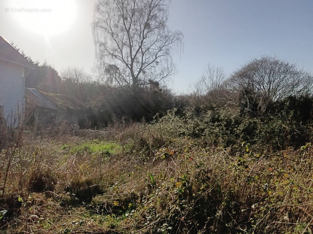 Maison à OUROUER-LES-BOURDELINS