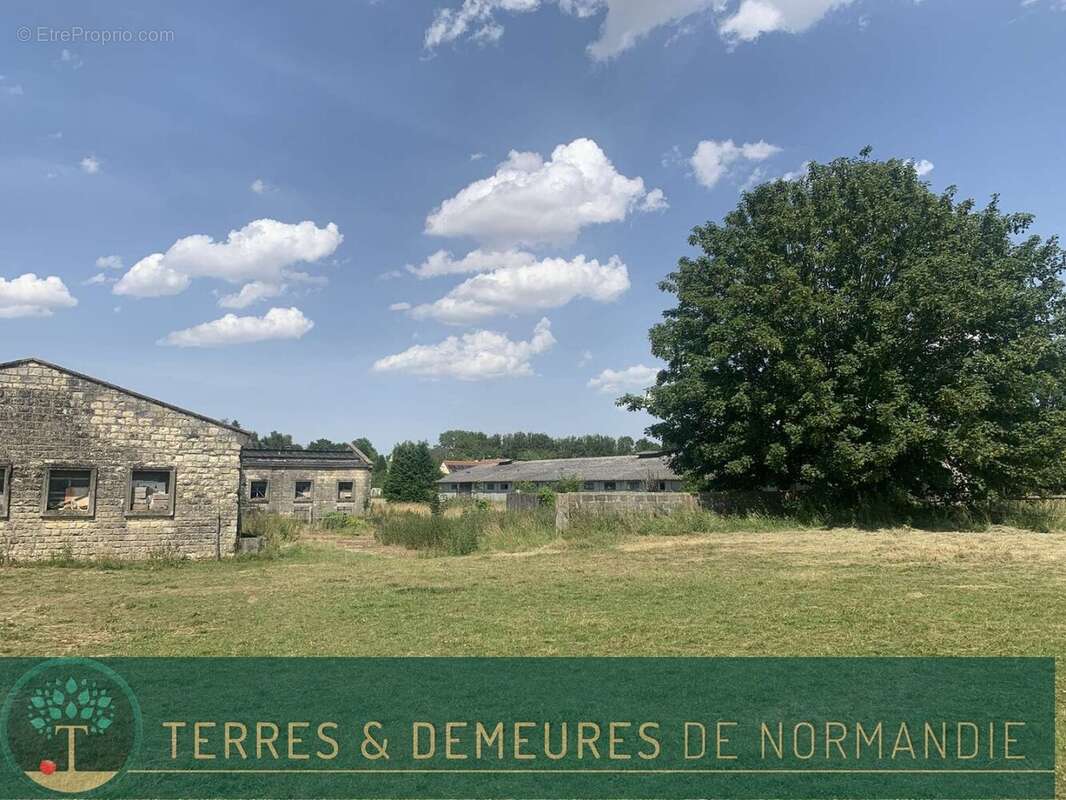 Dans le CALVADOS, région FALAISE, propriété agricole de 34 ha en herbage d'un seul tenant - photo 14