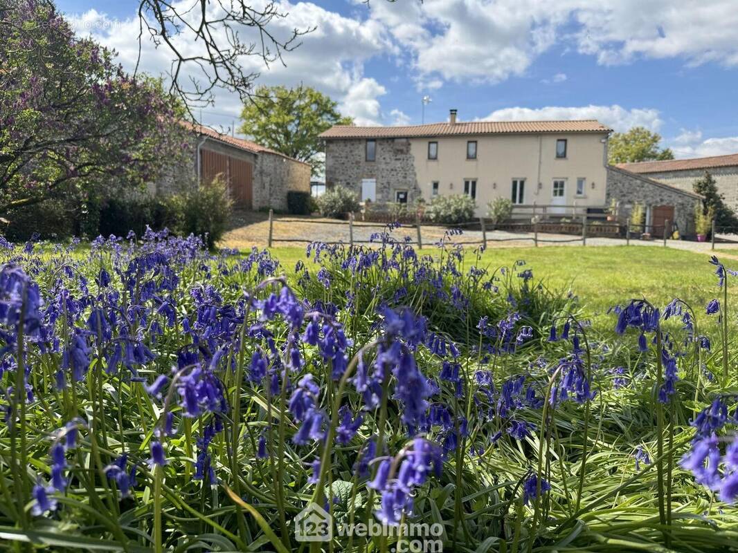 Propriété de charme aux portes du Puy du Fou - Maison à MENOMBLET