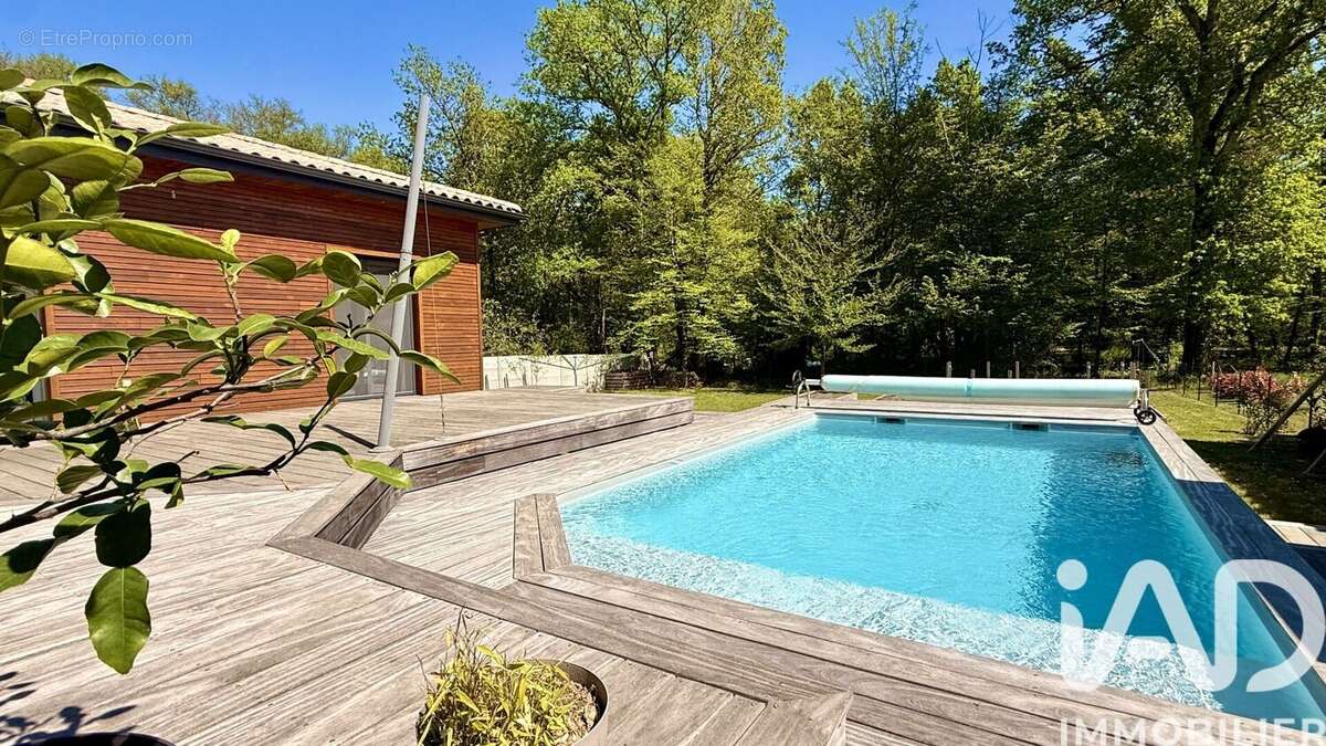 Photo 4 - Maison à SAINT-ANDRE-DE-CUBZAC