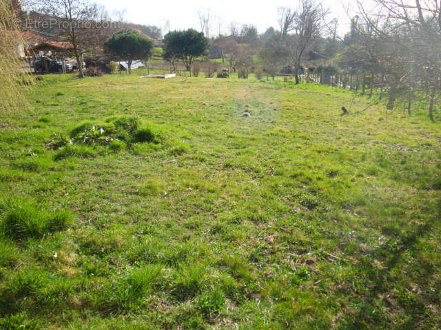 Terrain couzeix - photo 2
