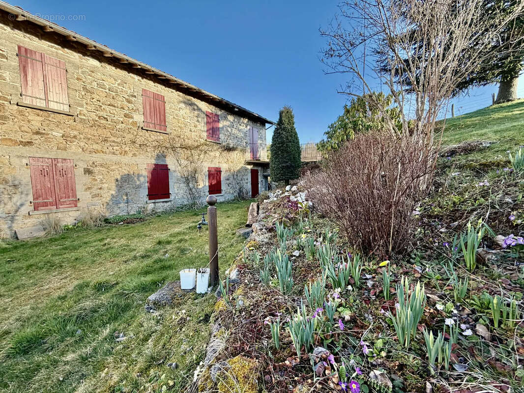 Maison à SAINT-AMANT-ROCHE-SAVINE