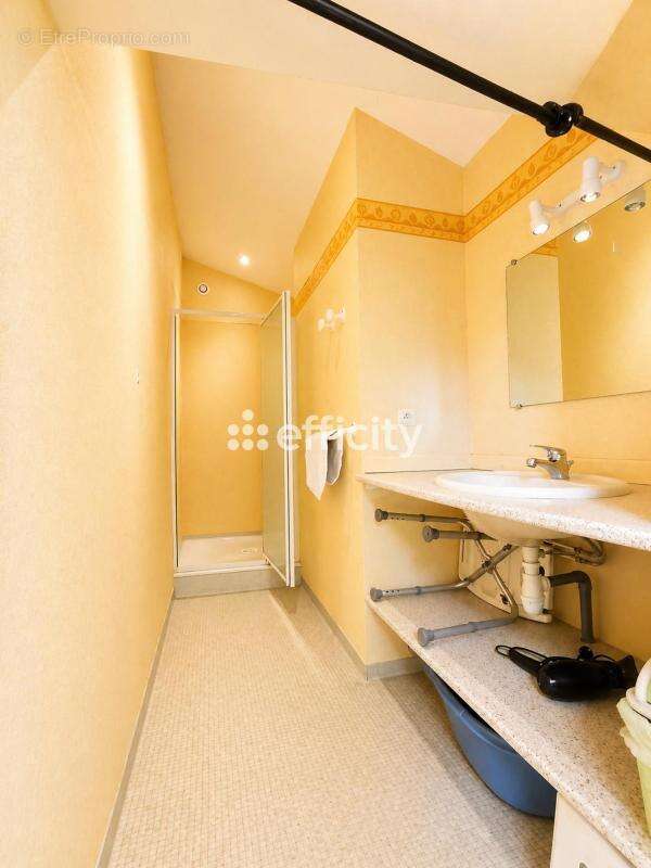 Maison 280 m² à Exireuil  - photo 19
