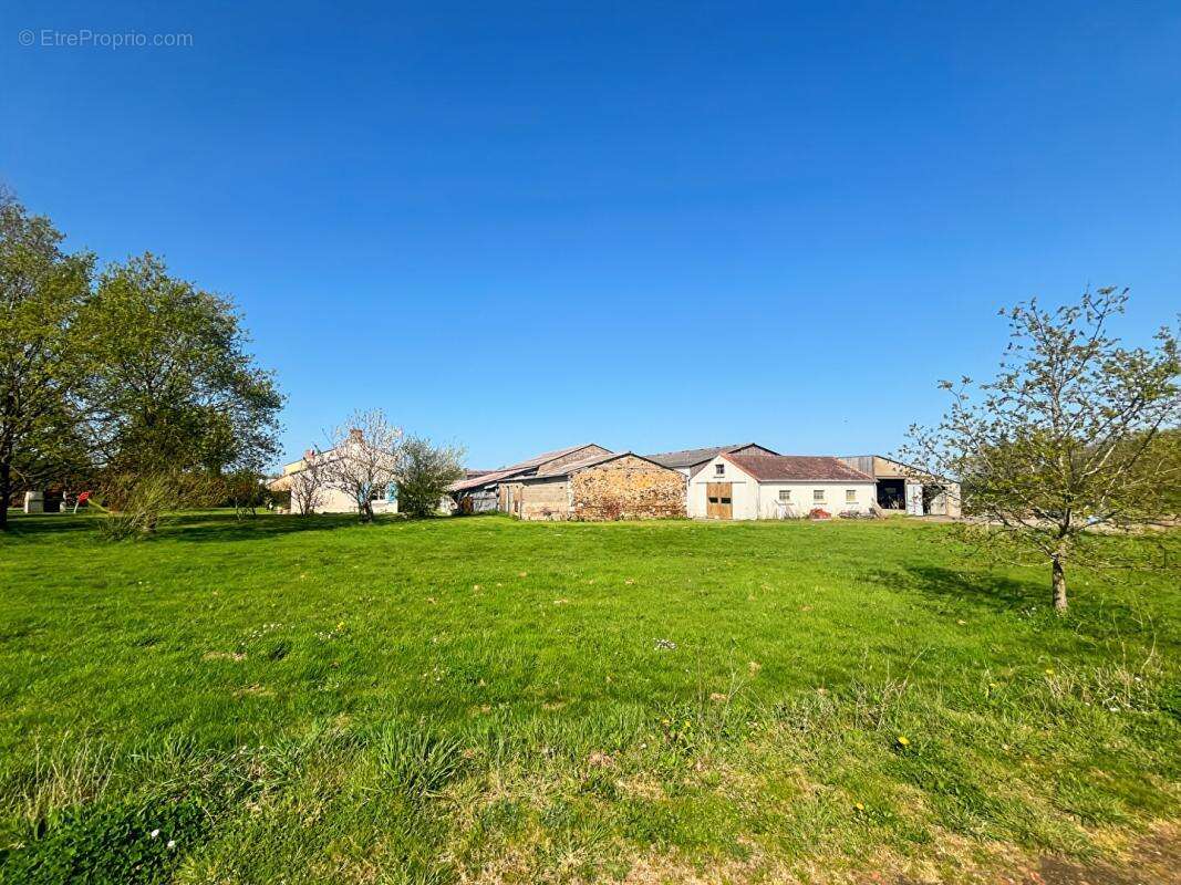 Maison à SAINT-PERE-EN-RETZ